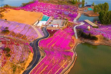 唐山花海哪个区好看