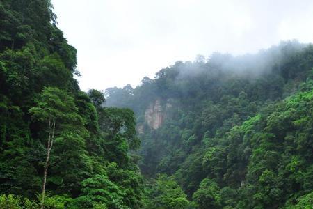 赤水避暑包吃住地方