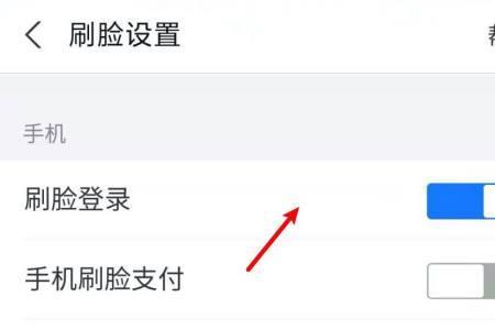支付宝忘记密码如何不刷脸登录