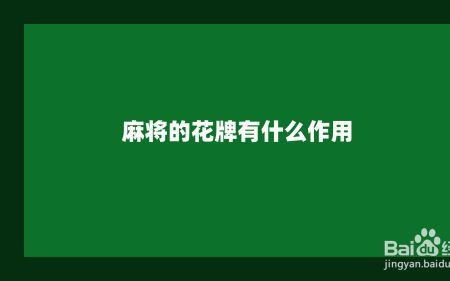 海南麻将花牌是什么意思