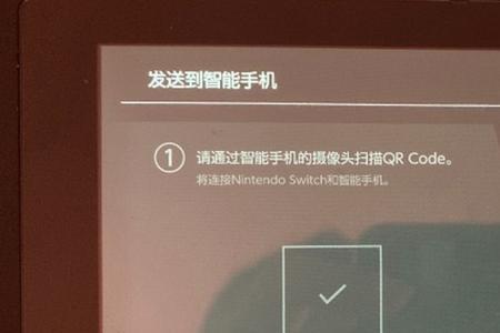 switch进入相册一直重新启动