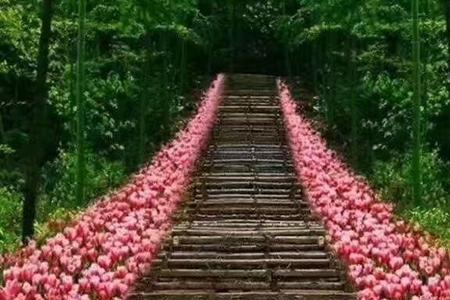 天国的路原唱