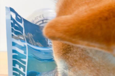 柴犬鱼油多久喂一次