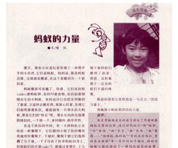 形容蚂蚁的力量的成语