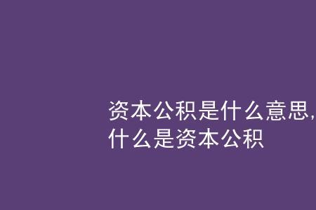 什么是其他资本
