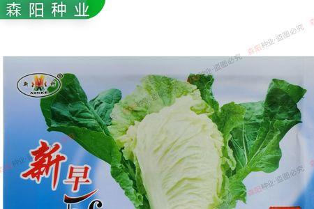 在新乡可以种春玉米吗