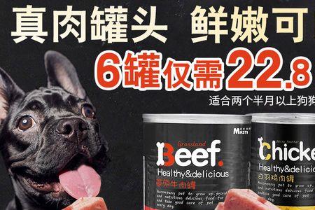 泰迪吃牛肉的方法