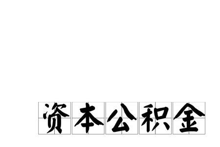 其他资本公积的具体内容