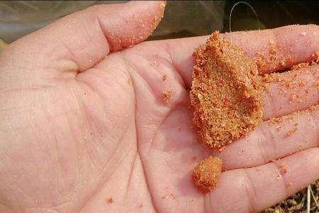 野钓散炮的正确用法和用量