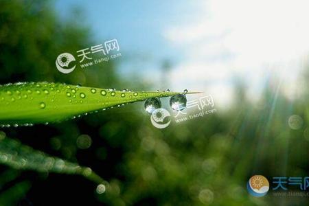 六月天气热的诗句