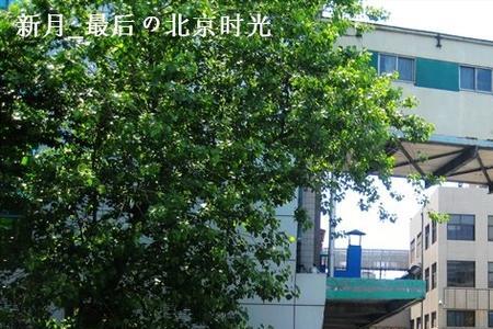 青岛啤酒在陕西有几家工厂
