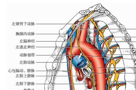 机械学名词 结构