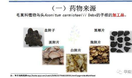附片炖肉要煮多长时间