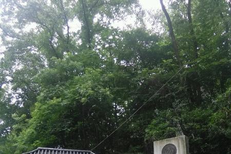 岳麓山有什么隐藏入口
