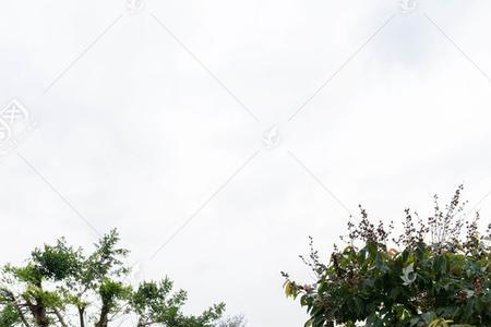 公园小路起什么名字
