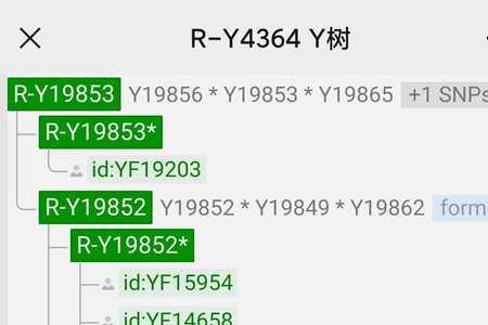 柯西金是犹太人吗