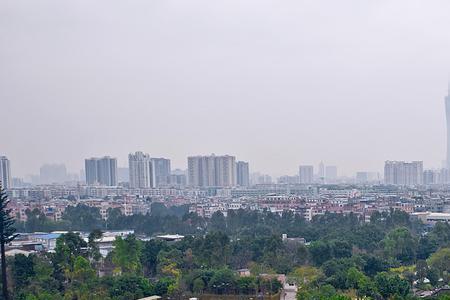 广州绿心是指