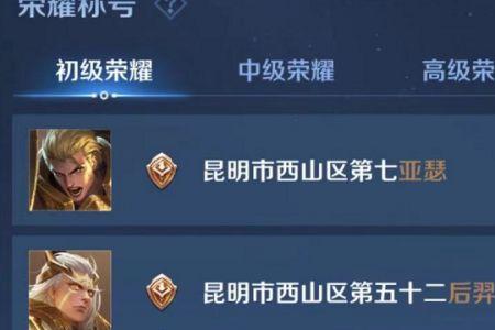 王者荣耀全国标识小标是什么