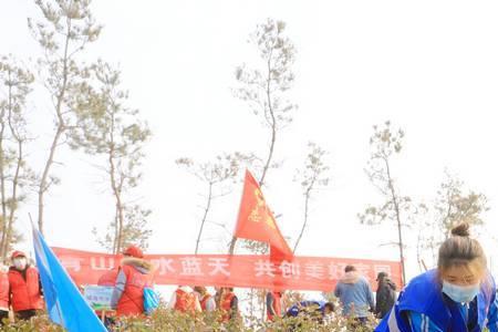 栽树和种树是一样的吗