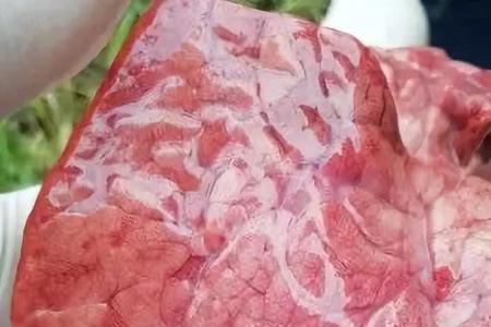 猪有几个肺叶
