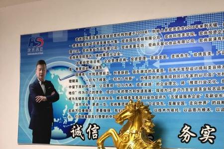 宏尚文化传媒是干什么的