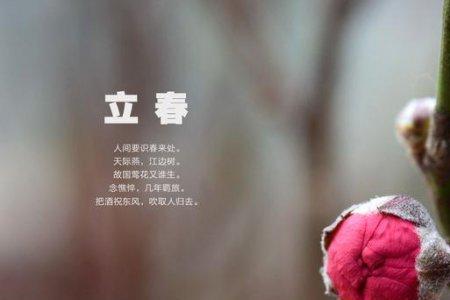 立春后会有王台吗