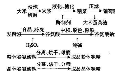 害人精是什么梗