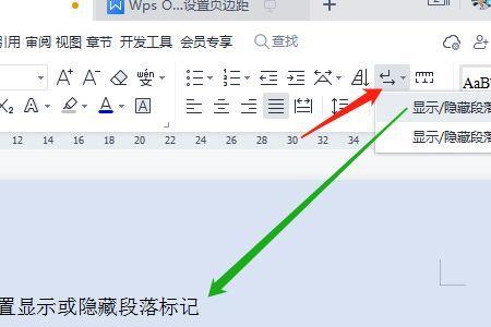 wps分节符隐藏了怎么显示