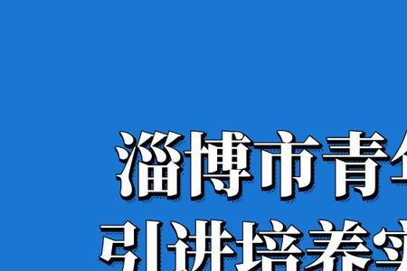 人才金政50条申领流程