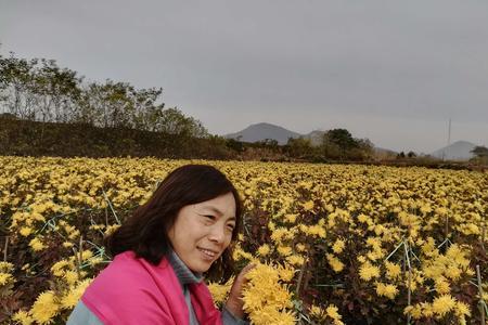 心若阳光一路芬芳的人生感悟