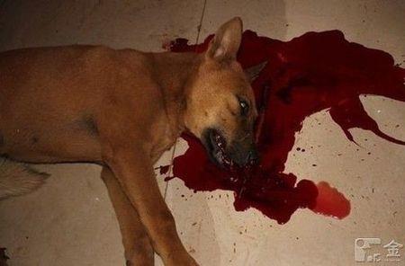 打和打死是二个区别