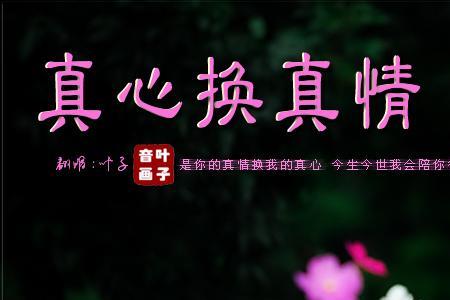 真心换不来真心下一句是什么