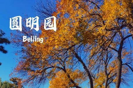 圆明园红叶在什么位置