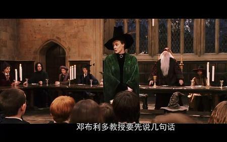 quirrell在哈利波特中是什么角色