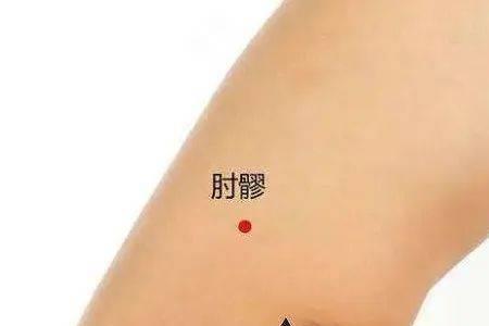 大如曲池小似新月是什么意思