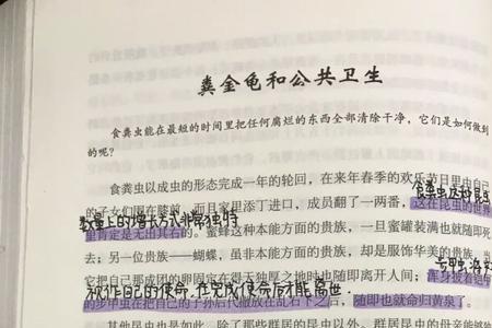 昆虫记彩带圆网蛛批注