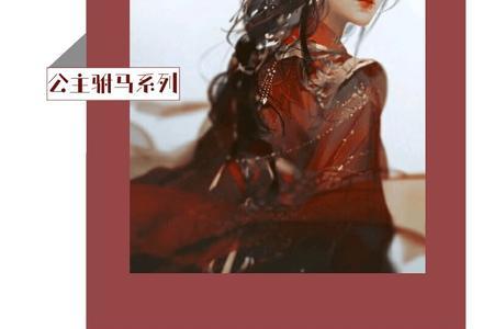 极品驸马女主有几个