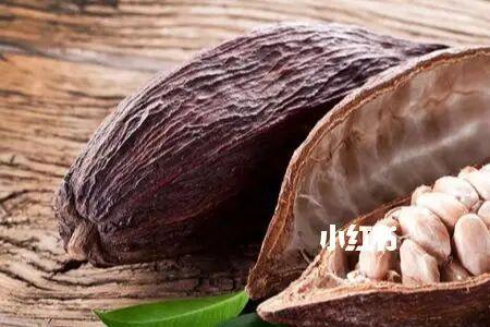 可可好听还是可可豆好听