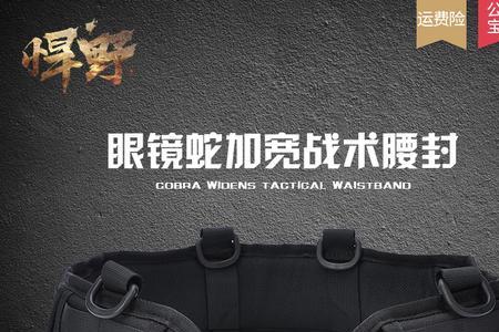 高科技战术腰带有用吗