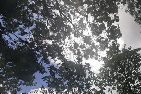 一片雨山半晴意思