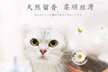 猫误吃了沐浴露是否有事