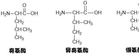 嘧啶是什么意思