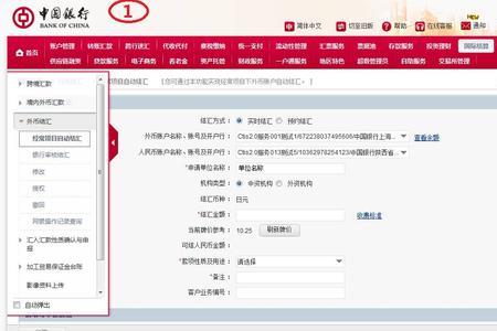 建设银行企业结汇流程