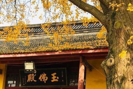 镇江南山高崇寺怎么上去