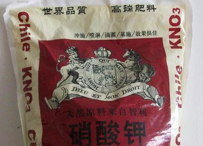 硝酸钾为什么列入危化品