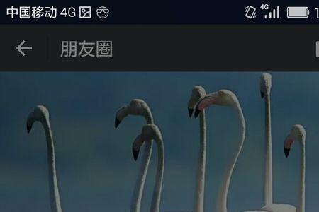 为什么微信发朋友圈不能横屏