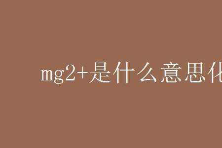 轻徽是什么意思