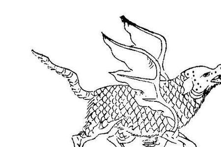 关于山海经牝牡的传说