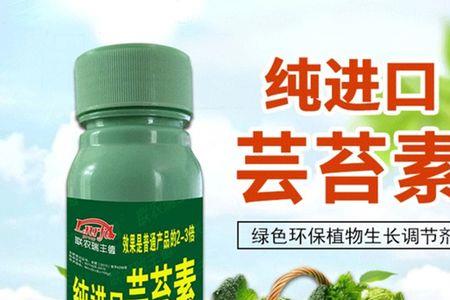 芸苔素内酯用多久