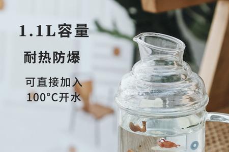 冷水壶玻璃的好还是塑料的好